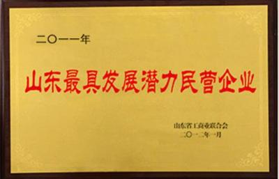 山東最具發展潛力民營企業